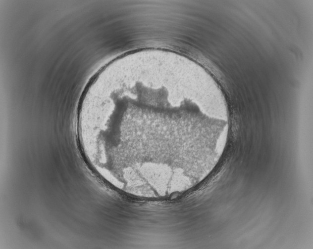X0000111351028200908211230