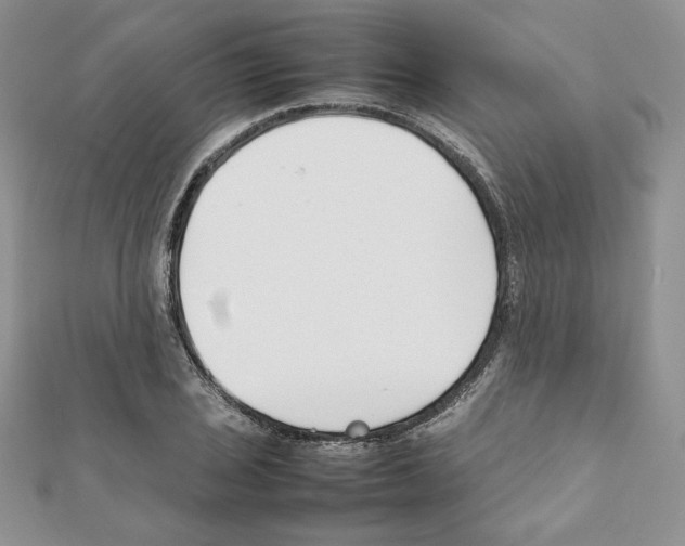 X0000111351029200908211230