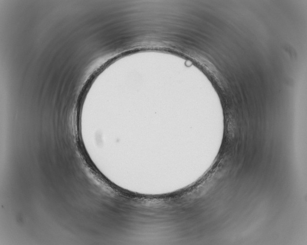 X0000111351030200908211230
