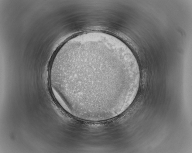X0000111351031200908211230