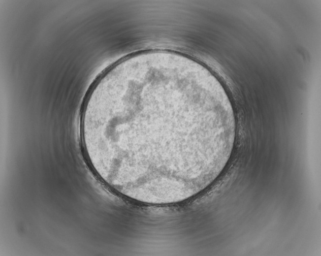 X0000111351032200908211230