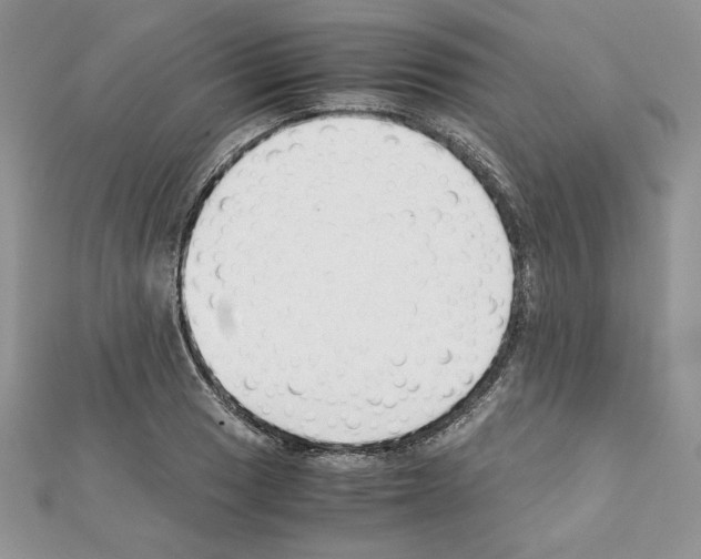 X0000111351033200908211230