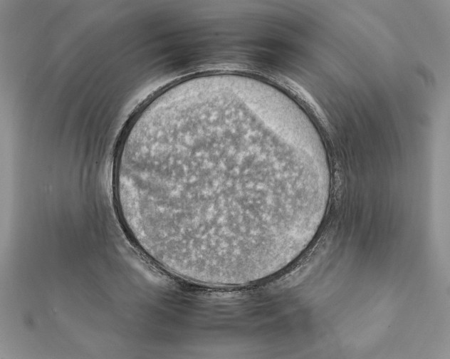 X0000111351035200908211230