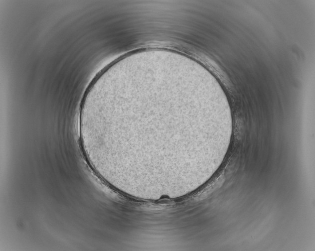 X0000111351036200908211230