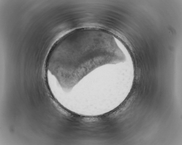 X0000111351037200908211230