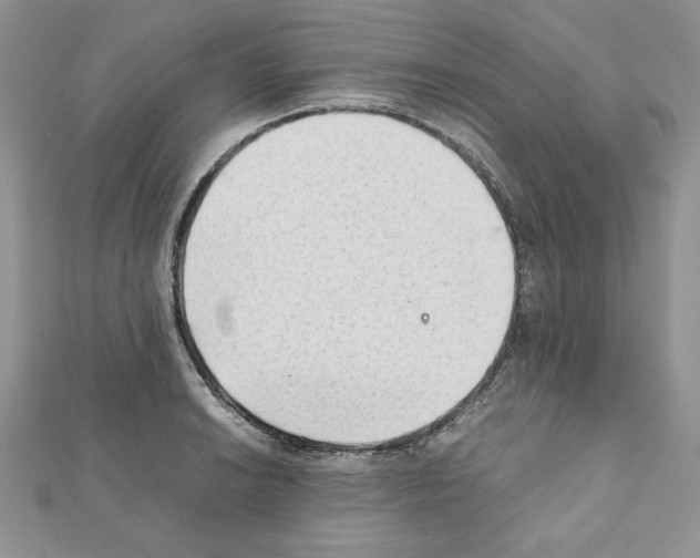 X0000111351038200908211230