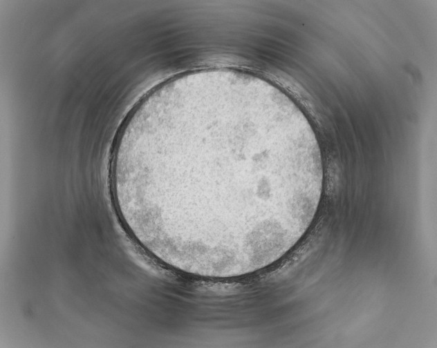 X0000111351039200908211230
