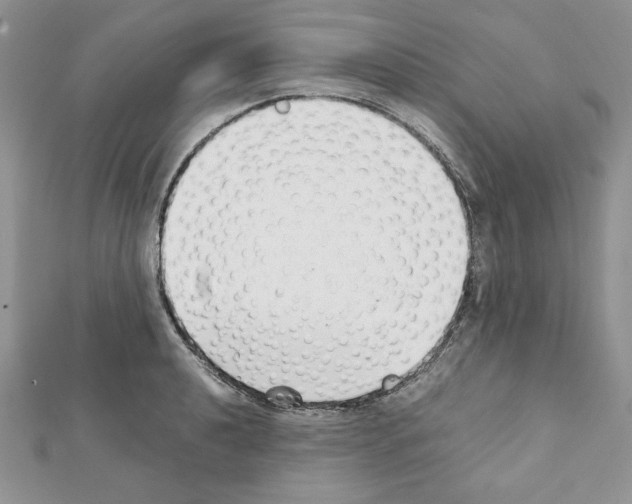 X0000111351040200908211230