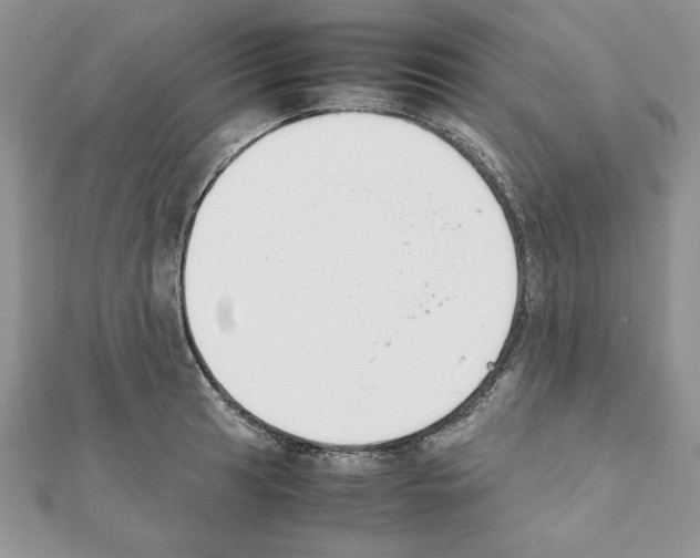 X0000111351041200908211230