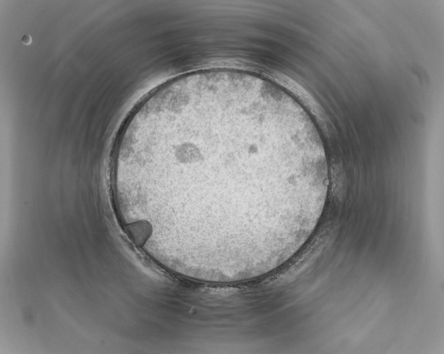 X0000111351043200908211230