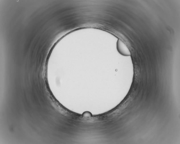 X0000111351044200908211230