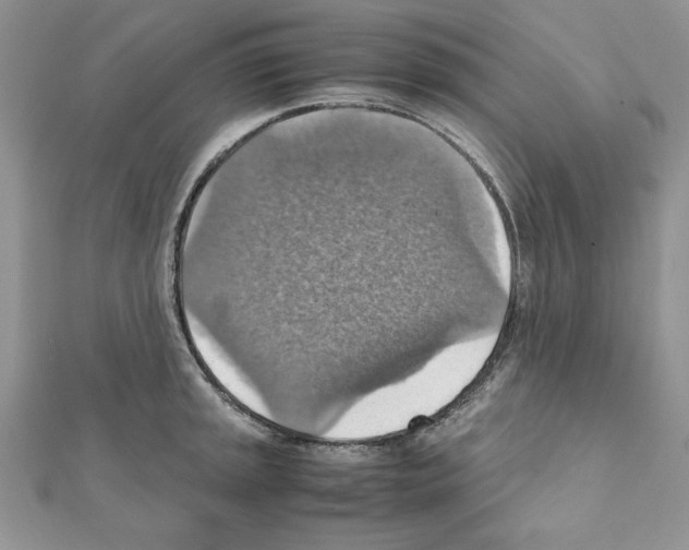 X0000111351045200908211230