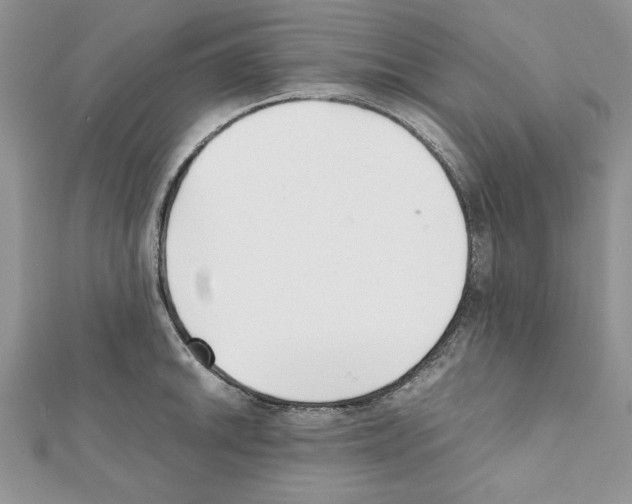 X0000111351046200908211230