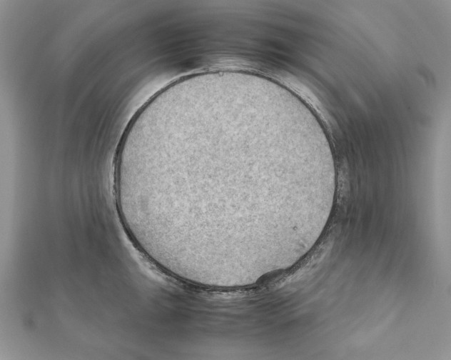X0000111351047200908211230
