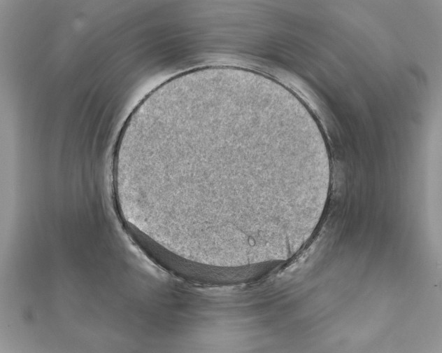 X0000111351048200908211230