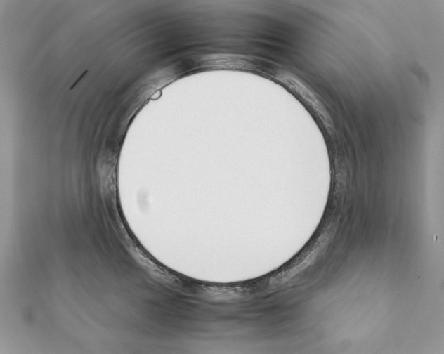 X0000111351049200908211230