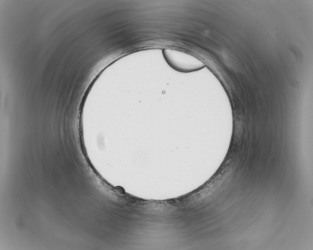 X0000111351050200908211230