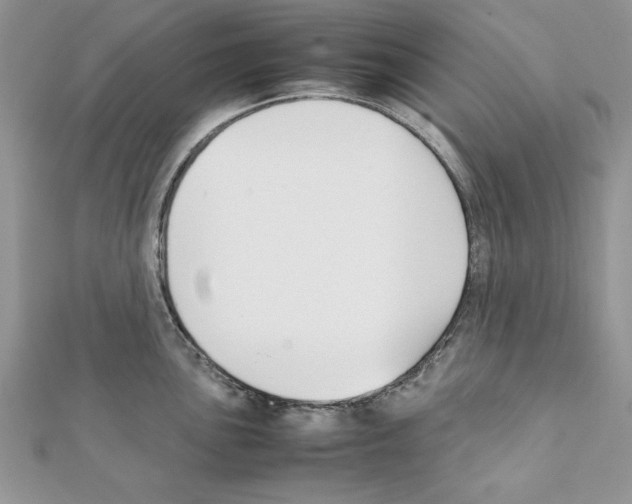 X0000111351051200908211230