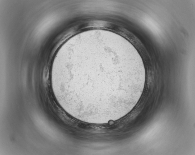 X0000111351052200908211230