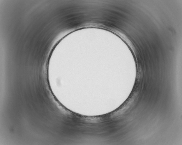 X0000111351053200908211230