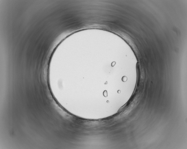 X0000111351054200908211230