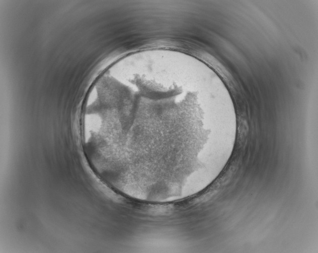 X0000111351055200908211230
