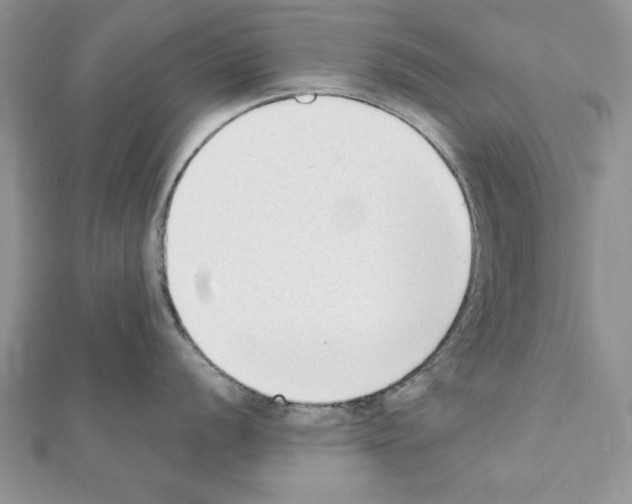 X0000111351056200908211230