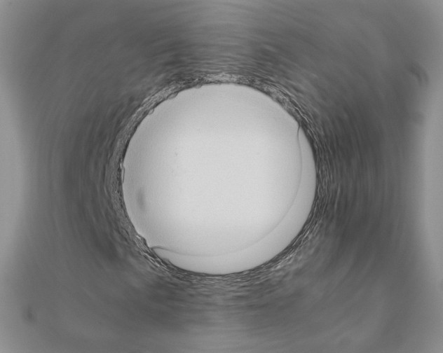 X0000111351057200908211229