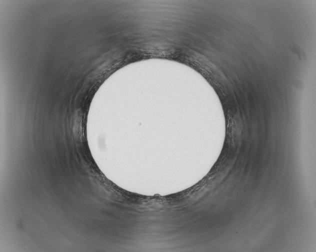 X0000111351058200908211229