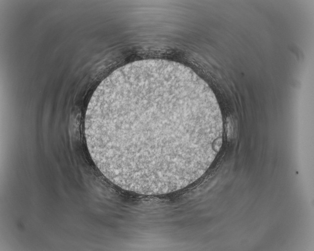 X0000111351059200908211229