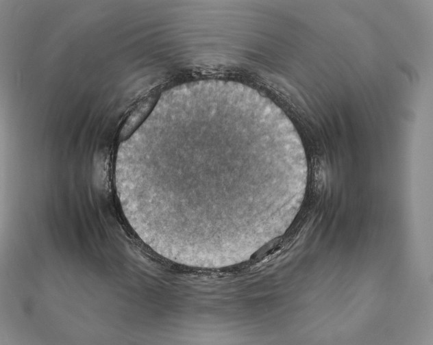 X0000111351060200908211229