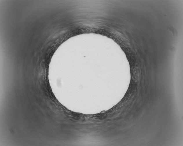 X0000111351061200908211229