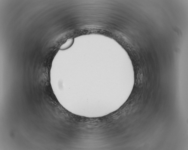 X0000111351062200908211229
