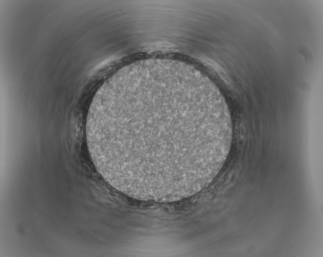 X0000111351063200908211229