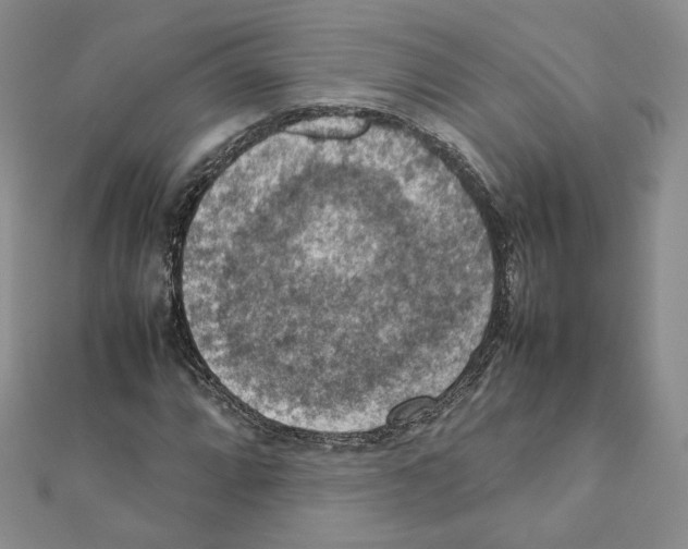 X0000111351064200908211229