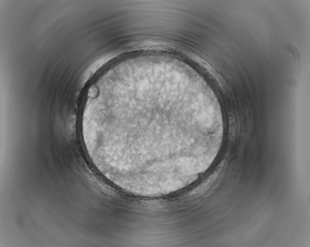 X0000111351066200908211229