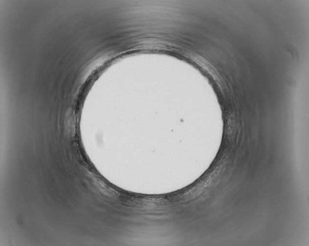 X0000111351067200908211229