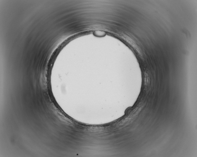 X0000111351068200908211229