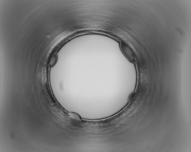 X0000111351069200908211229
