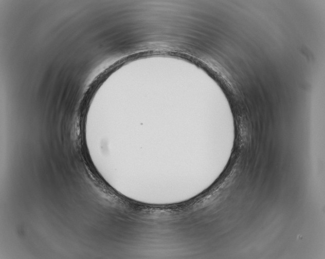 X0000111351070200908211229