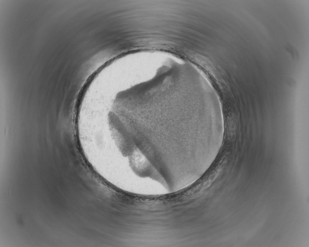 X0000111351071200908211229
