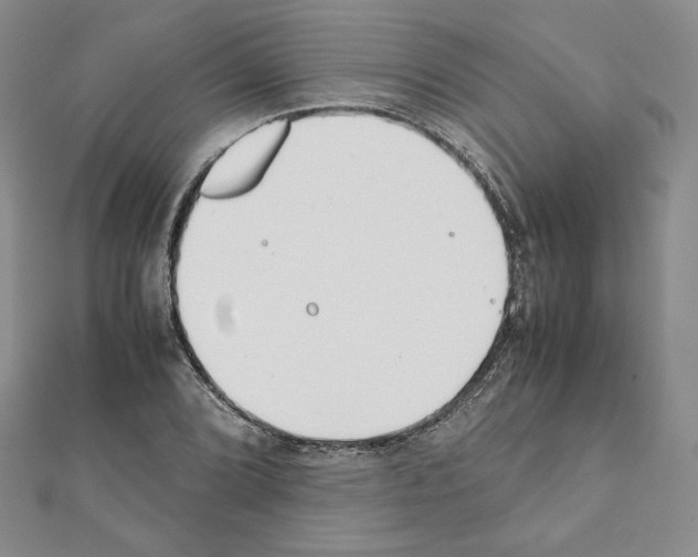X0000111351072200908211229