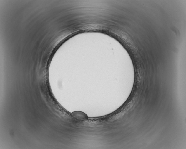 X0000111351073200908211229