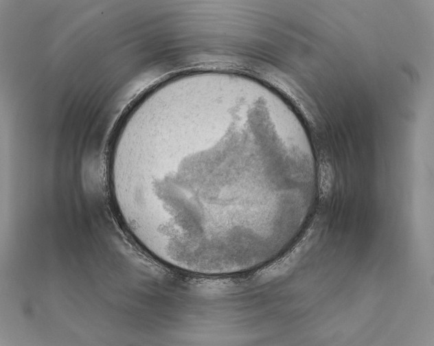 X0000111351074200908211229