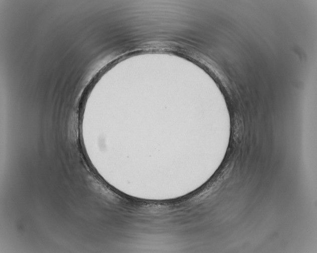 X0000111351075200908211229