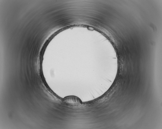 X0000111351076200908211229