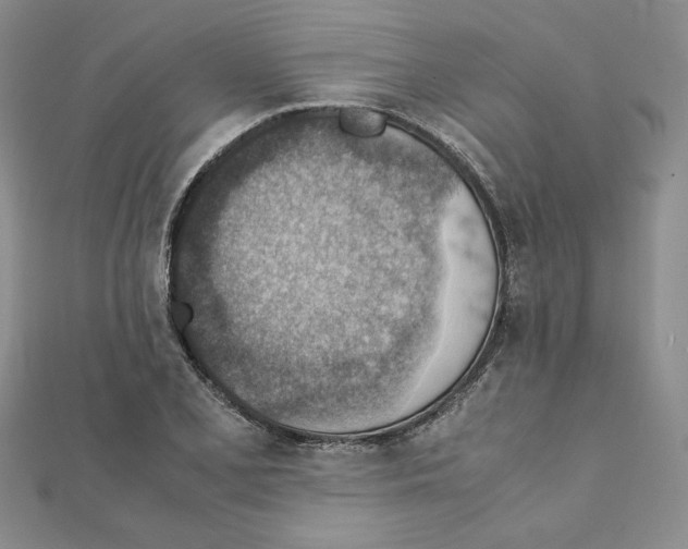 X0000111351077200908211229