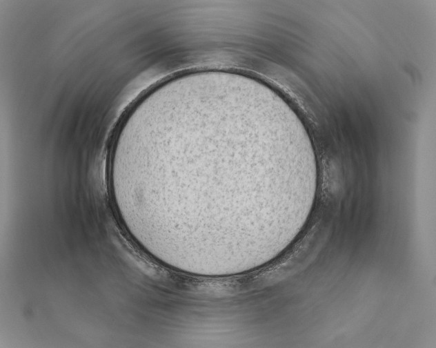 X0000111351078200908211229