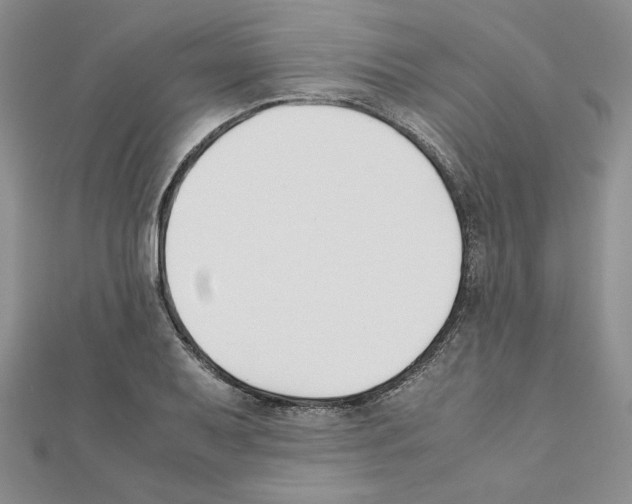 X0000111351079200908211229