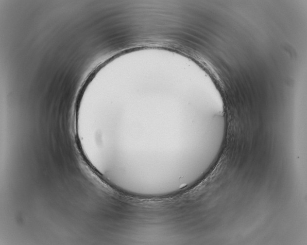 X0000111351080200908211229